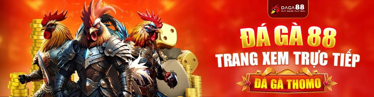 Đá gà trực tuyến nohu 88 hiện đang mở