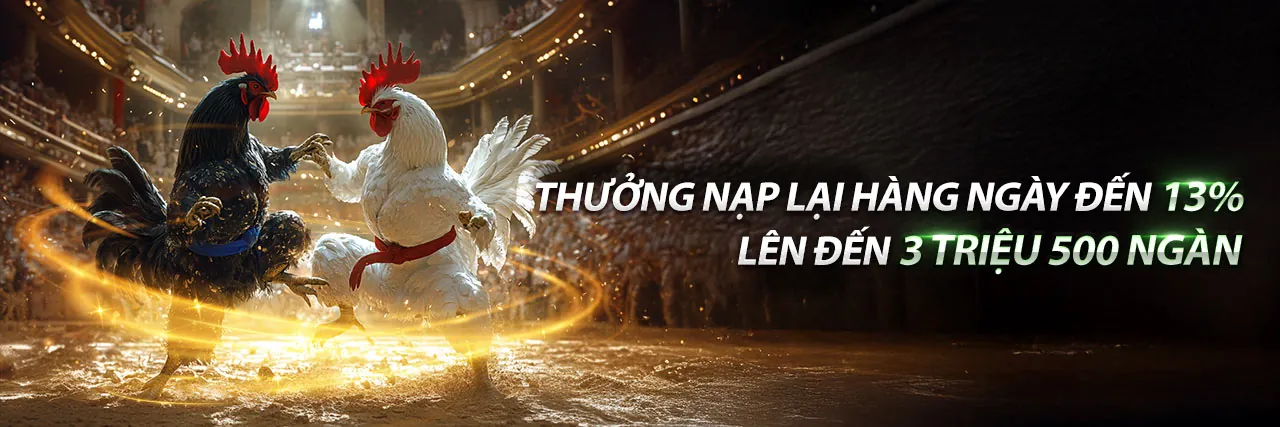 Tin tức mới nhất từ nohu 88 hiện đang mở
