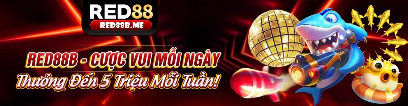 Sân vận động lớn với trận đấu bóng đá đang diễn ra, biểu tượng cá cược thể thao nohu 88