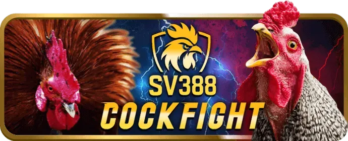 Cá cược thể thao nohu 88