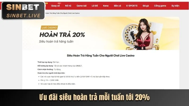 Tin tức khuyến mãi nohu 88